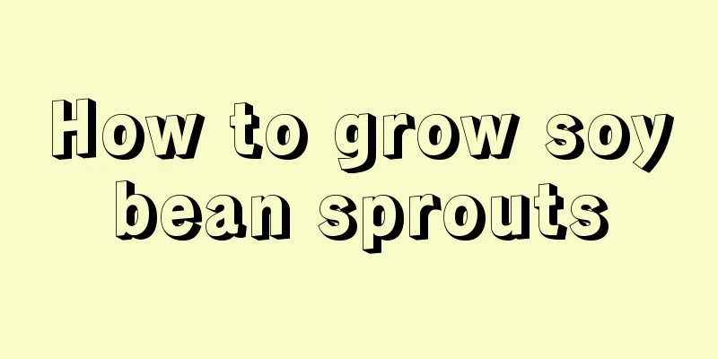 How to grow soybean sprouts