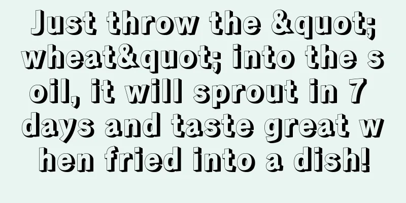 Just throw the "wheat" into the soil, it will sprout in 7 days and taste great when fried into a dish!