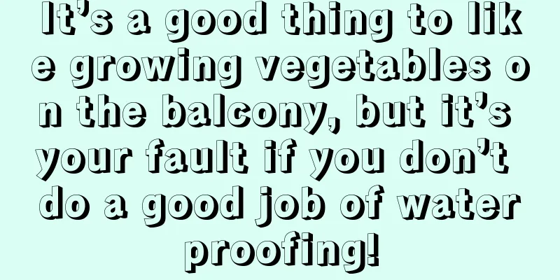 It’s a good thing to like growing vegetables on the balcony, but it’s your fault if you don’t do a good job of waterproofing!