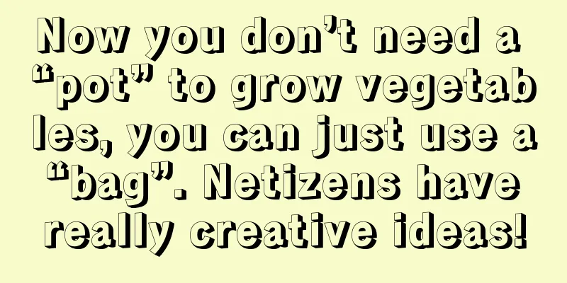 Now you don’t need a “pot” to grow vegetables, you can just use a “bag”. Netizens have really creative ideas!