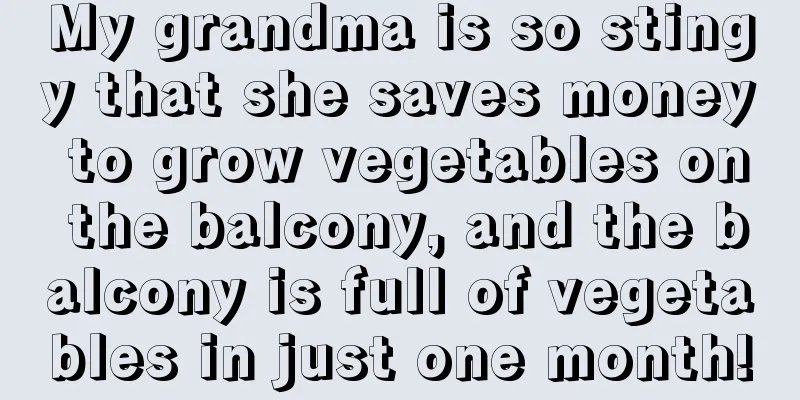 My grandma is so stingy that she saves money to grow vegetables on the balcony, and the balcony is full of vegetables in just one month!