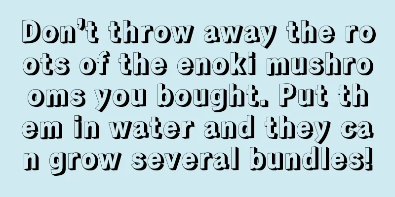 Don’t throw away the roots of the enoki mushrooms you bought. Put them in water and they can grow several bundles!