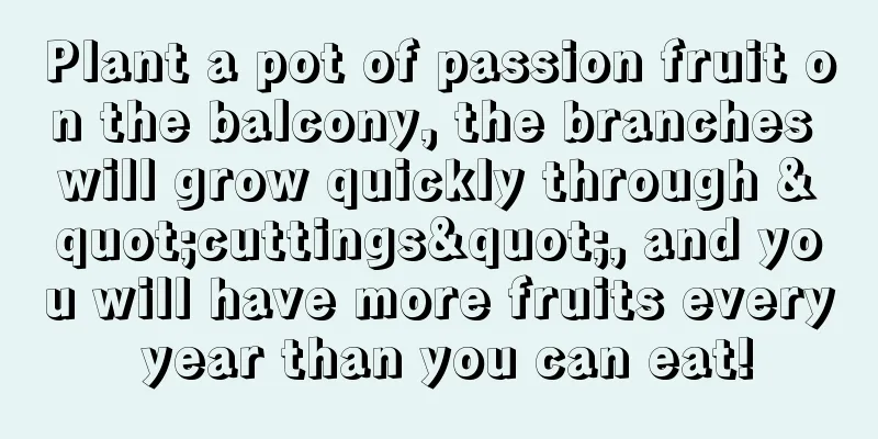 Plant a pot of passion fruit on the balcony, the branches will grow quickly through "cuttings", and you will have more fruits every year than you can eat!