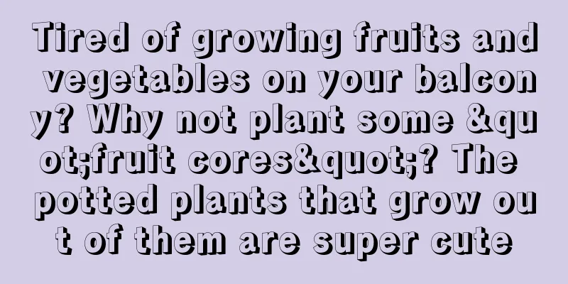 Tired of growing fruits and vegetables on your balcony? Why not plant some "fruit cores"? The potted plants that grow out of them are super cute