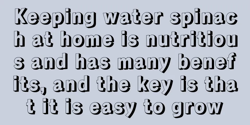 Keeping water spinach at home is nutritious and has many benefits, and the key is that it is easy to grow