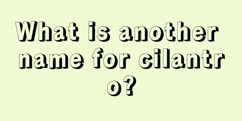 What is another name for cilantro?