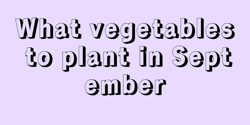 What vegetables to plant in September