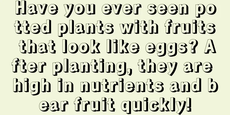 Have you ever seen potted plants with fruits that look like eggs? After planting, they are high in nutrients and bear fruit quickly!