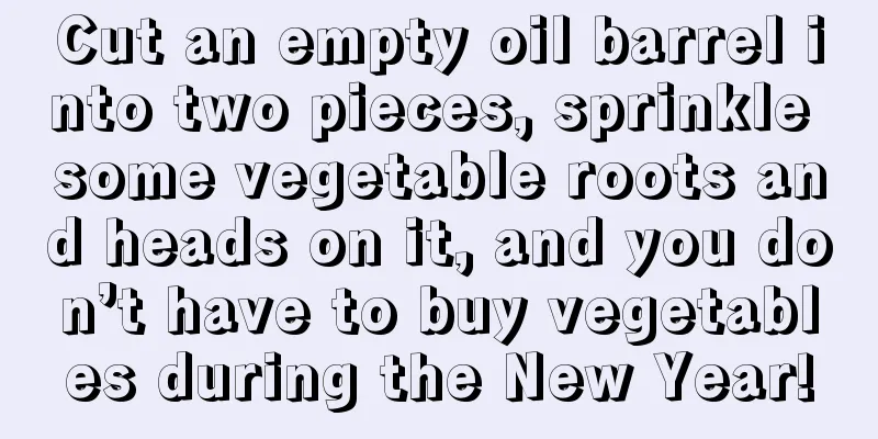 Cut an empty oil barrel into two pieces, sprinkle some vegetable roots and heads on it, and you don’t have to buy vegetables during the New Year!