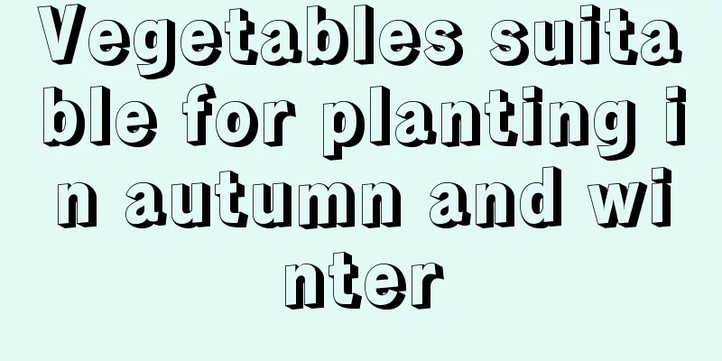 Vegetables suitable for planting in autumn and winter