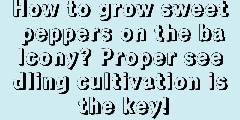 How to grow sweet peppers on the balcony? Proper seedling cultivation is the key!