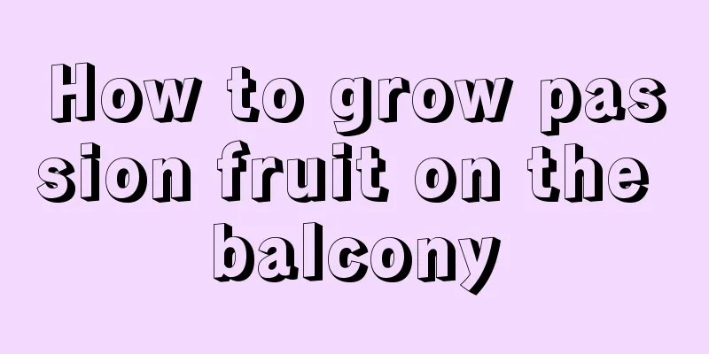 How to grow passion fruit on the balcony