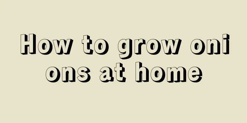 How to grow onions at home