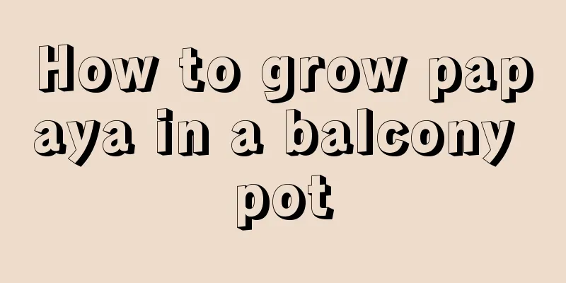 How to grow papaya in a balcony pot