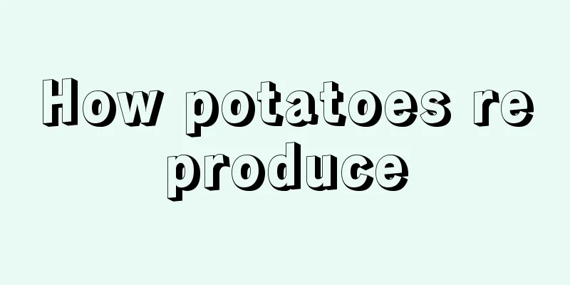 How potatoes reproduce