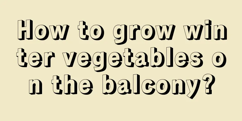 How to grow winter vegetables on the balcony?