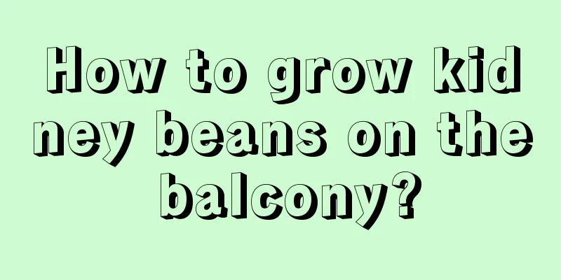 How to grow kidney beans on the balcony?