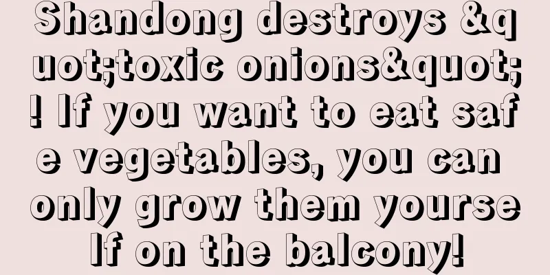 Shandong destroys "toxic onions"! If you want to eat safe vegetables, you can only grow them yourself on the balcony!