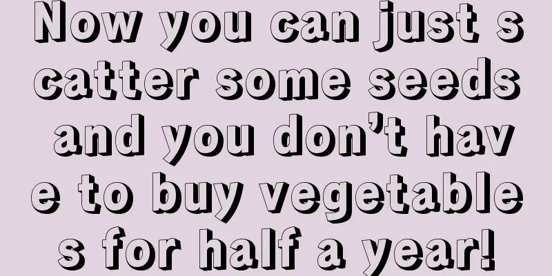 Now you can just scatter some seeds and you don’t have to buy vegetables for half a year!