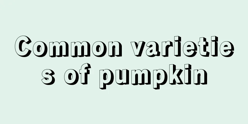 Common varieties of pumpkin