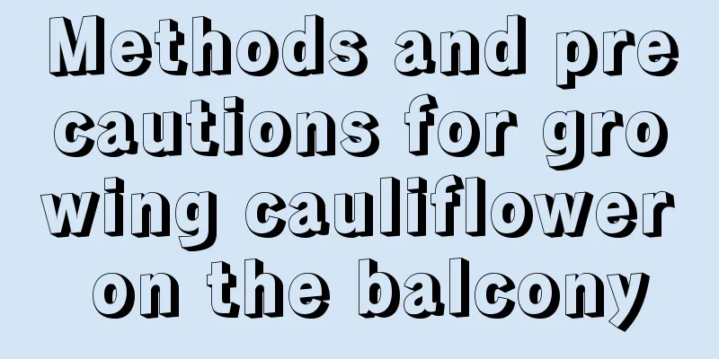 Methods and precautions for growing cauliflower on the balcony