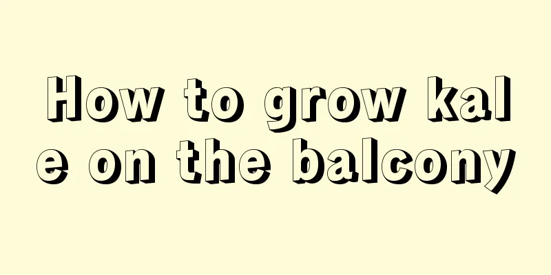 How to grow kale on the balcony