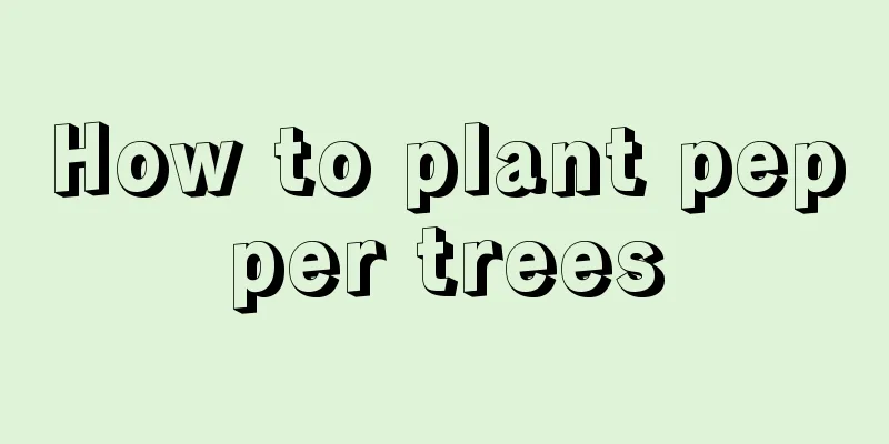 How to plant pepper trees