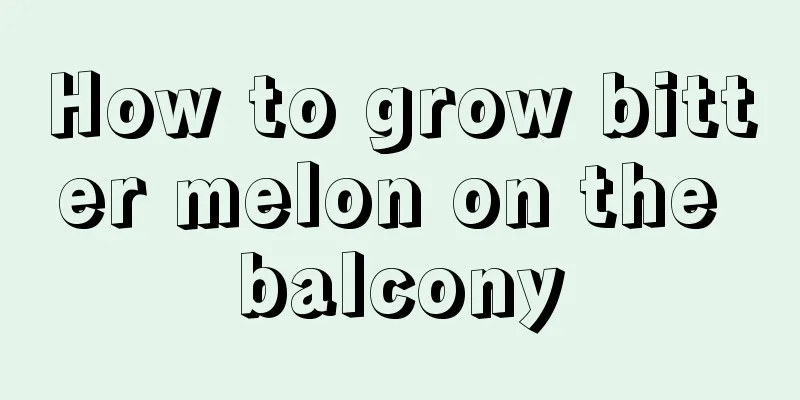 How to grow bitter melon on the balcony