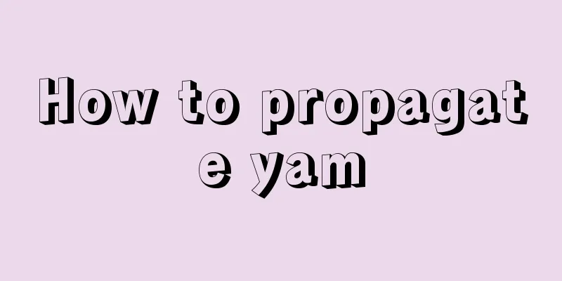 How to propagate yam