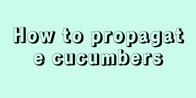 How to propagate cucumbers