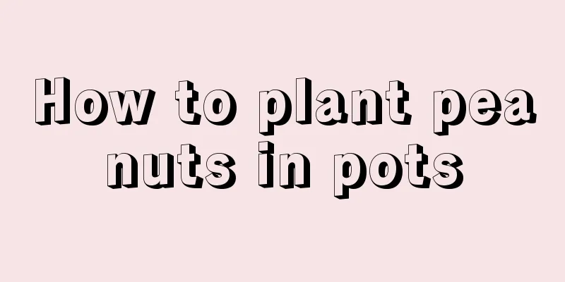 How to plant peanuts in pots