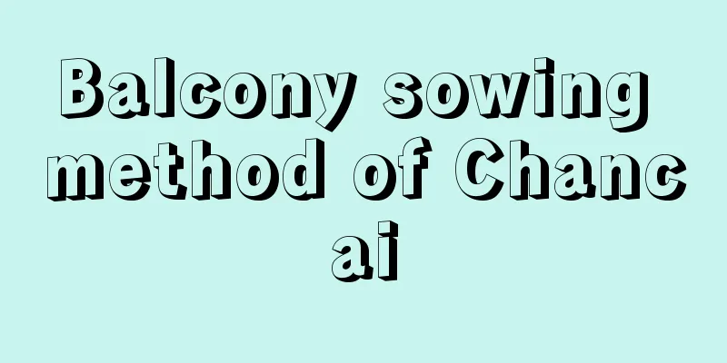 Balcony sowing method of Chancai