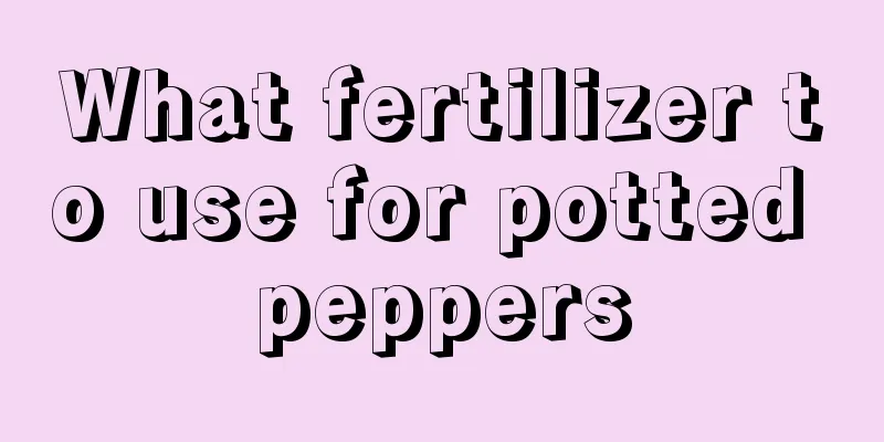 What fertilizer to use for potted peppers