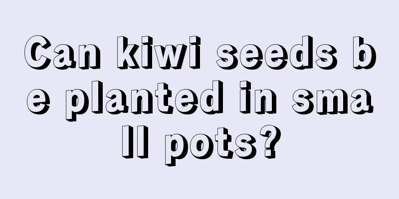 Can kiwi seeds be planted in small pots?