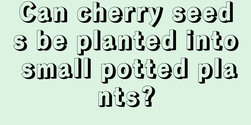 Can cherry seeds be planted into small potted plants?