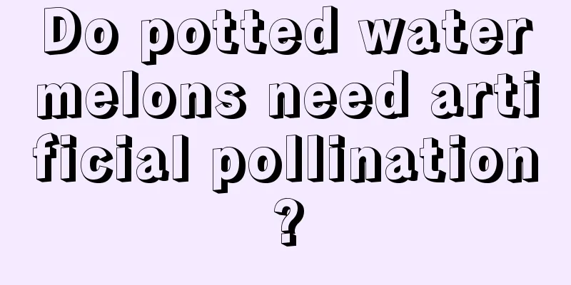 Do potted watermelons need artificial pollination?