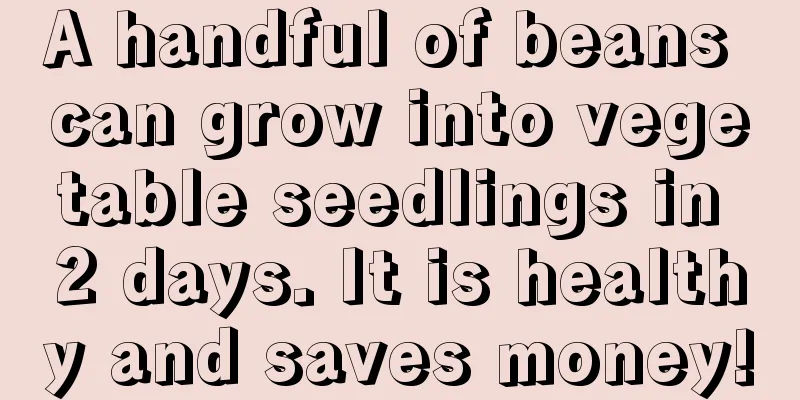 A handful of beans can grow into vegetable seedlings in 2 days. It is healthy and saves money!