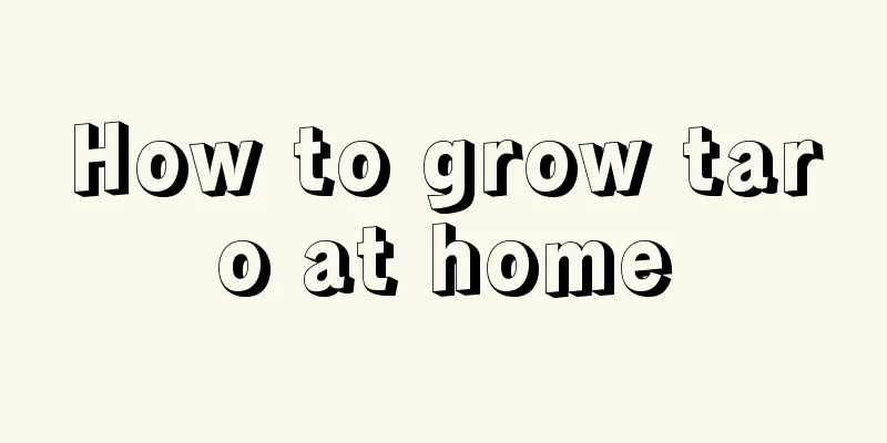 How to grow taro at home