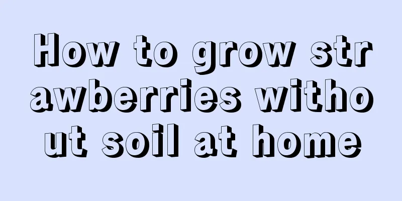 How to grow strawberries without soil at home