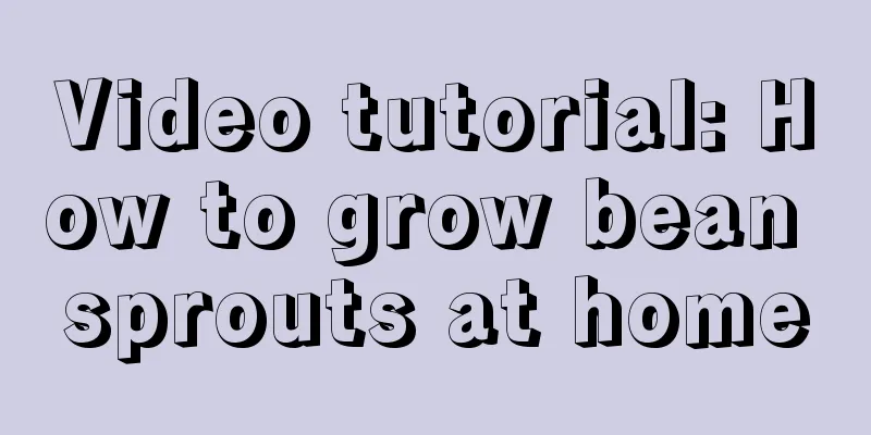 Video tutorial: How to grow bean sprouts at home