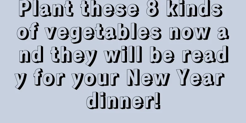 Plant these 8 kinds of vegetables now and they will be ready for your New Year dinner!