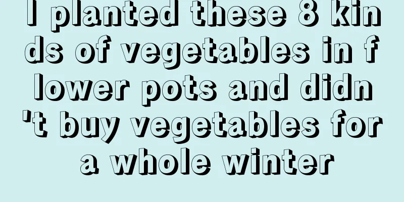 I planted these 8 kinds of vegetables in flower pots and didn't buy vegetables for a whole winter