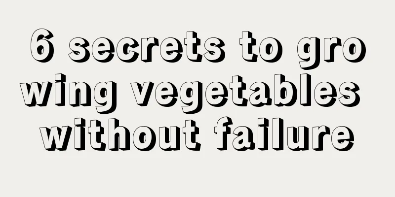 6 secrets to growing vegetables without failure