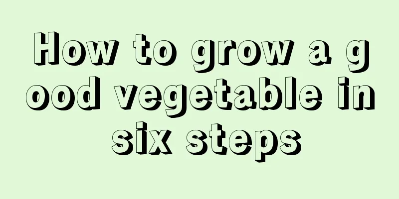 How to grow a good vegetable in six steps