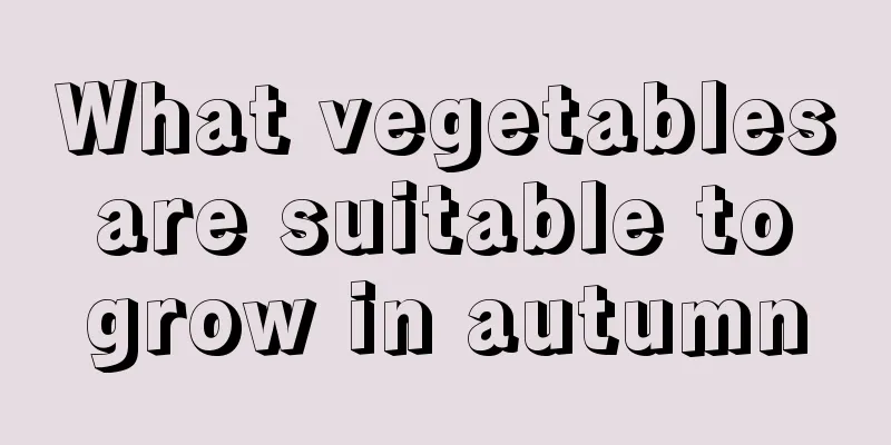 What vegetables are suitable to grow in autumn