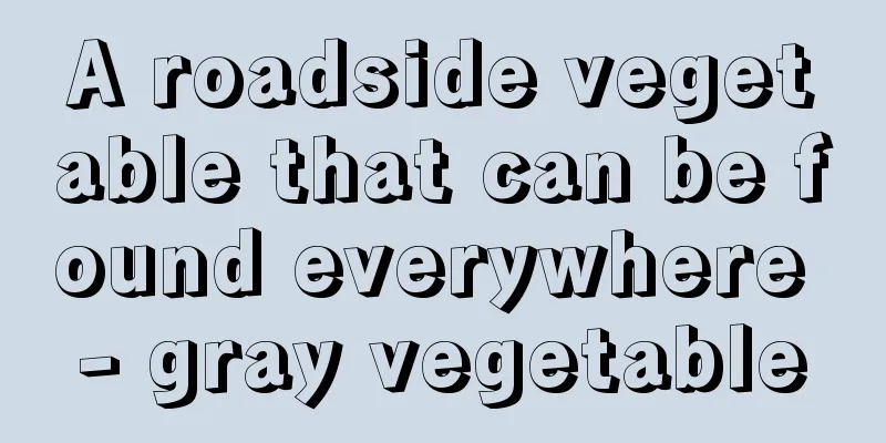 A roadside vegetable that can be found everywhere - gray vegetable