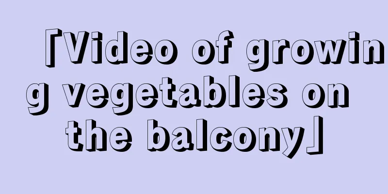 「Video of growing vegetables on the balcony」