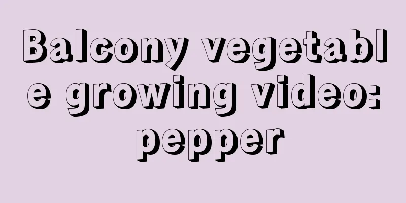 Balcony vegetable growing video: pepper