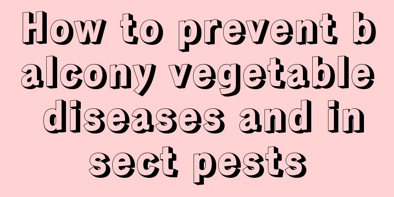 How to prevent balcony vegetable diseases and insect pests