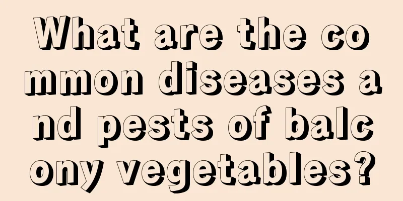 What are the common diseases and pests of balcony vegetables?